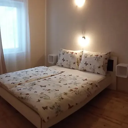 Anita